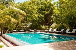 Maldives scuba diving holiday - Eriyadu Island Resort. Swimming pool.